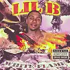 Picture for song 'Whoop, Swag, Flame (Lil B Type Instrumental)' by artist 'StuntinSteve'