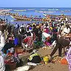Picture for song 'A Day in Senegal' by artist 'The Electric Cow Bell Project'