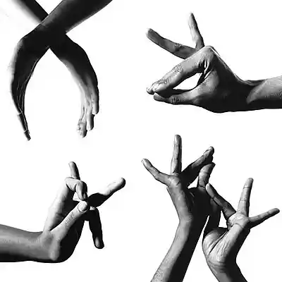 Picture for song 'Willie and the Hand Jive' by artist 'The Leftover'