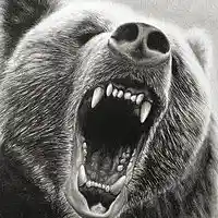 Picture for song 'Bear Trap' by artist 'Black Phoenix Productions'