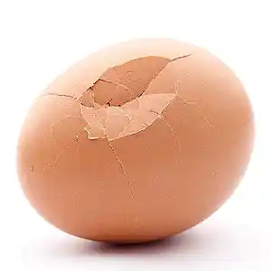 Picture for song 'the flaws are hardly noticable' by artist 'Dollar Bill and the Unmentionables'