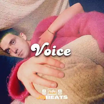 Picture for song 'Voice' by artist 'Joe Gautrey'
