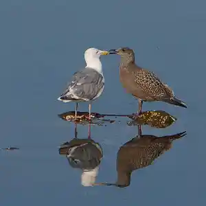 Picture for song 'in this place' by artist 'Mattila'