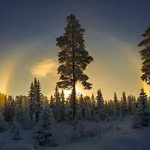 Picture for song 'It's cold out there' by artist 'Father Mother Earth'
