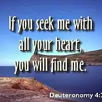 Picture for song 'Seek The Lord (Instrumental)' by artist 'My Shepherd King'