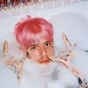 Picture for song 'old lil peep type beat *purgatory*' by artist 'prod by. Dingospo'