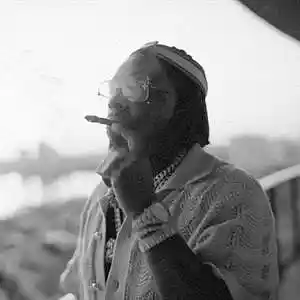 Picture for song 'Sparrows (Buy 1 Get 2 Free)' by artist 'Prod By Jozy'