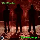 Picture for song 'Destiny' by artist 'The Shadow's'