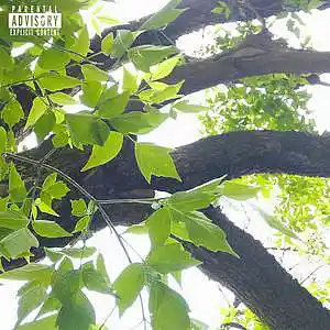 Picture for song 'Hella sketchy x Lil Tracy "Don't Cry"' by artist 'VYWeedsion'