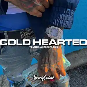 Picture for song '"COLD HEARTED" - Big 30 x Big Scarr Type Beat' by artist 'Young Snake Beats'