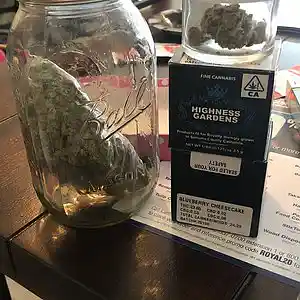 Picture for song 'Mo money shine king worldholly' by artist 'Break Free present'