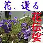 Picture for song 'Flowers Return (Hana Kaeru)' by artist 'Cadensah'