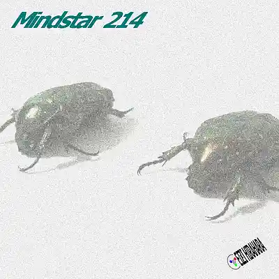 Picture for song 'Mindstar 214' by artist 'Eizi Hirahara'
