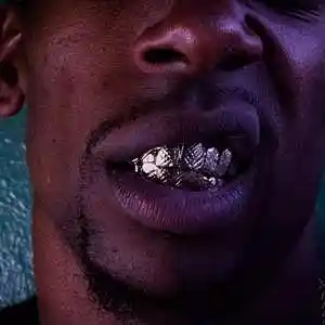 Picture for song 'UK Drill Beat - "Grizzly" 140 BPM' by artist 'past panica'
