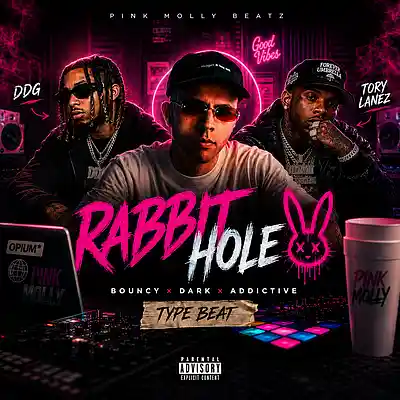 Picture for song 'RABBIT HOLE - TORY LANEZ TYPE BEATS' by artist 'PINK MOLLY BEATZ'