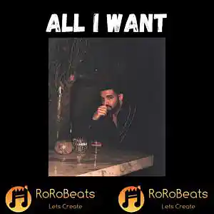 Picture for song 'All I Want' by artist 'RoRo Beats'