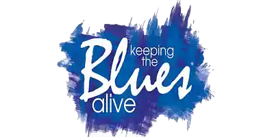 Picture for song 'Blinded By The Blues' by artist 'Swampman And The Machine'