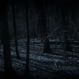 Picture for song 'versus the night' by artist 'Tay-Kanic Productions'