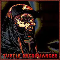 Picture for song 'BooSlang' by artist 'Turtle Necromancer'