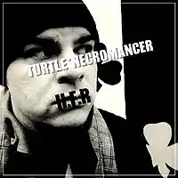 Picture for song 'Scientific Reaction' by artist 'Turtle Necromancer'