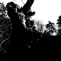Picture for song 'Joyous Life and Heroic Death' by artist 'xfBLH'