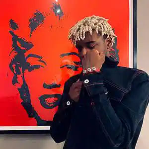 Picture for song 'CRYSTAL (25$ Unlimited)' by artist 'TRIXY'