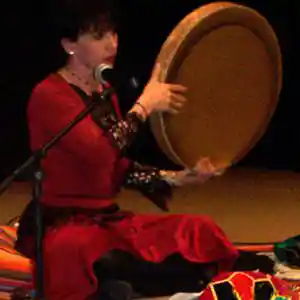 Picture for song 'Farzaneh' by artist 'Caravan World Music Ensemble'