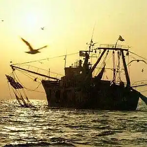 Picture for song 'What of Me playalong' by artist 'Caravan World Music Ensemble'