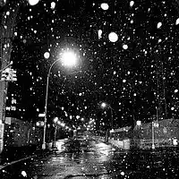 Picture for song 'WinterNights (DaveEast)' by artist 'Cooarri'