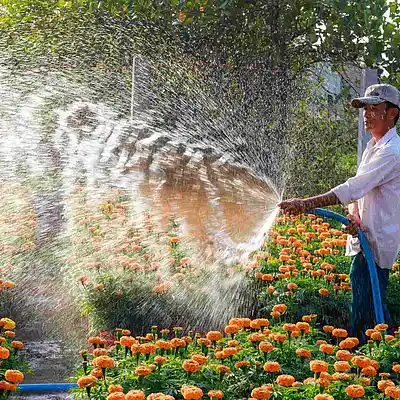 Picture for song 'DBE-Get It Wet (LikeAP*#*$*@r)' by artist 'DarksideBeatsEntAlt'