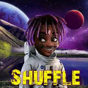 Picture for song 'Shuffle' by artist 'garagan'