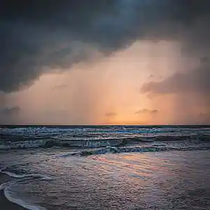 Picture for song 'Beyond the Tide (Buy 1 Get 4 Free)' by artist 'HappyFace'