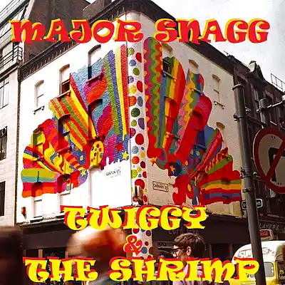 Picture for song 'Twiggy And The Shrimp' by artist 'Major Snagg'