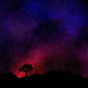 Picture for song 'Freedom' by artist 'YCDI'