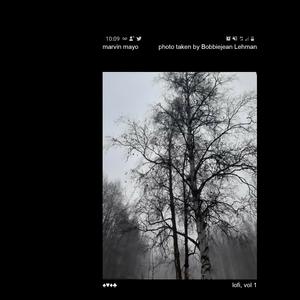 Picture for song 'White Lighter Suspicion' by artist 'Marvin Mayo'