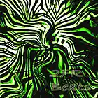 Picture for song 'Groove' by artist '2FR'