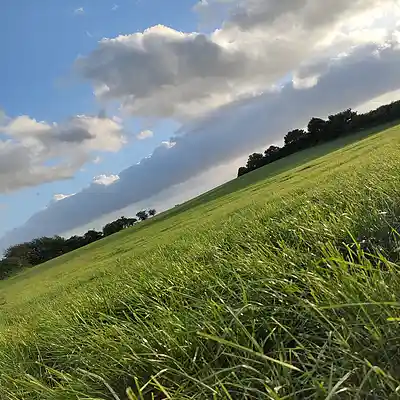 Picture for song '20240707_221723_1perFeCtalTeR_1' by artist '786 scheint-Al'lahs Bande'