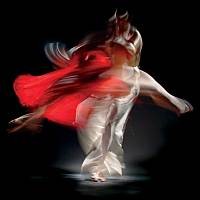 Picture for song 'INTANGIBLE TANGO' by artist 'Alexis VAN EECKHOUT'
