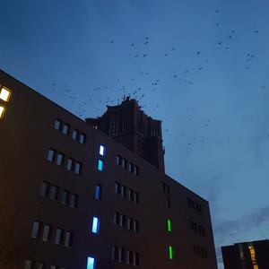 Picture for song 'The Fearless Vampire Killers (K. Komeda) Var.' by artist 'Andi Wendt'