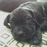 Picture for song 'Till the Day That We Die Prod by Axis Beats 70 bpm' by artist 'Axis Beats (US)'