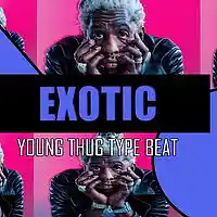 Picture for song '(NEW) Exotic (Young Thug)' by artist 'BigBoyTraks'