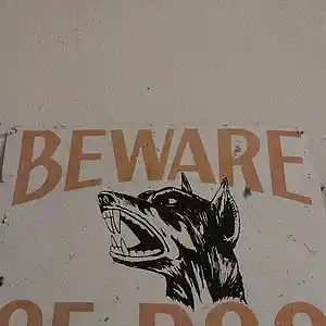 Picture for song 'BackYard' by artist 'Cevin Clay'