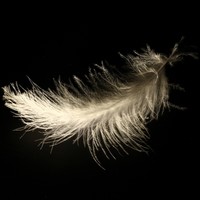 Picture for song 'Absolute Angel' by artist 'ChapmanJames'