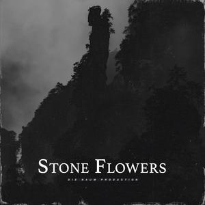 Picture for song 'STONE FLOWERS (Love Type Beat X Smooth Soul Beat)' by artist 'Die Naum Production'