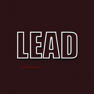 Picture for song 'Lead (Instrumental)' by artist 'Erfman Beats'