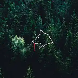 Picture for song 'Wolves (w/Hook)' by artist 'Beats with Hooks.'