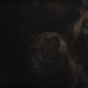 Picture for song 'Lions Den (Prod. By Galax-E)' by artist 'Galax-E Musick'