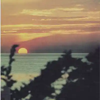 Picture for song '''LOVIN'' / GUNNA TYPE BEAT' by artist 'Beats By Gioest'