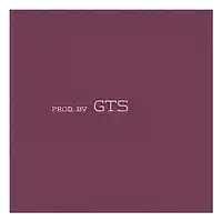 Picture for song 'GTS X FLAUNT (Future type beat)' by artist 'GTS'