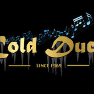 Picture for song 'Cold Duck Days' by artist 'Johanna Renfro'